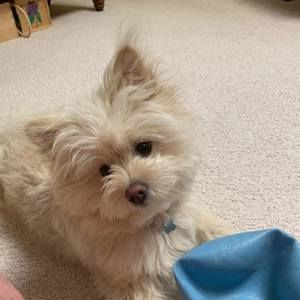 Meet your Posher, Mary